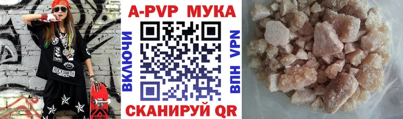 Альфа ПВП СК КРИС  Беслан 