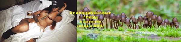 mdma Мегион