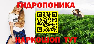 гашиш Аргун