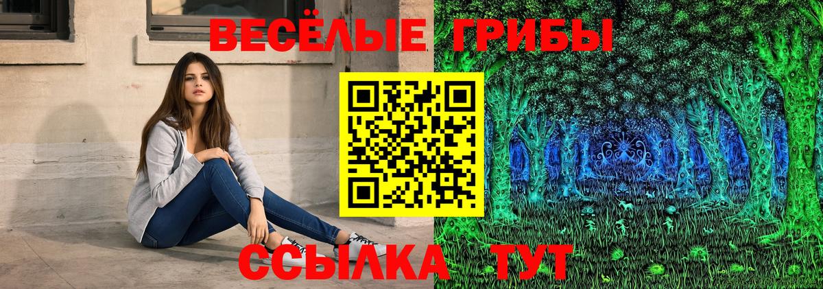 Псилоцибиновые грибы мухоморы  Беслан  Галлюциногенные грибы GOLDEN TEACHER 