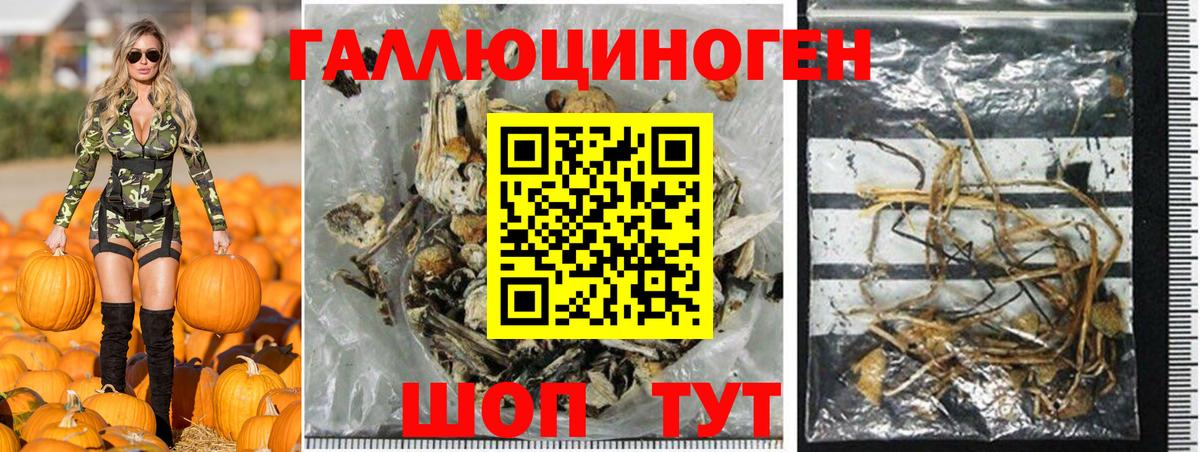 Галлюциногенные грибы прущие грибы Беслан