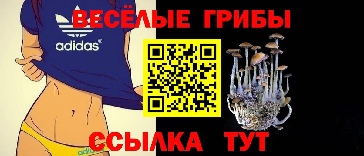 Псилоцибиновые грибы мухоморы  Вход с VPN  Беслан 
